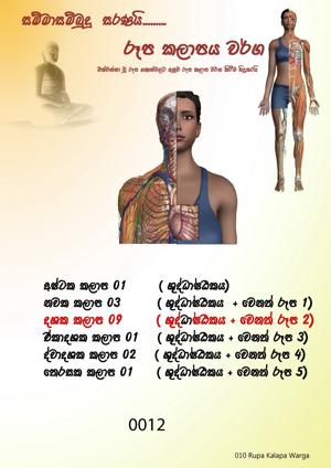 0012 රූප කලාපය වර්ග.jpeg